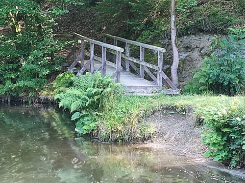 Um den Neuen Teich