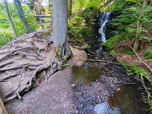 Um den Neuen Teich