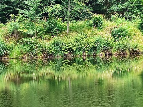 Um den Neuen Teich