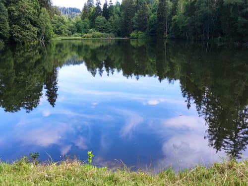 Um den Neuen Teich
