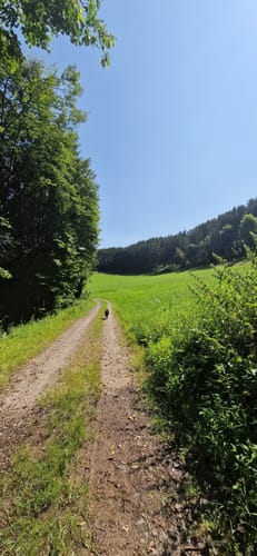 Binscheid (Naturpark Südeifel Wanderweg Nr. 11)