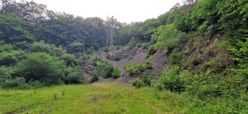 Binscheid (Naturpark Südeifel Wanderweg Nr. 11)