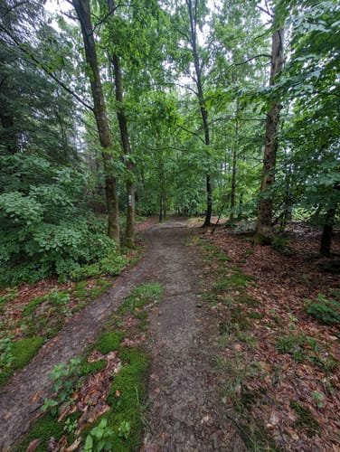 Rund um die Große Höhe und Markusberg