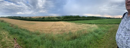 Panoramaweg Appenheim