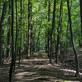 Rifle Camp Park - Yellow Loop, New Jersey - 879 Reviews, Map | AllTrails