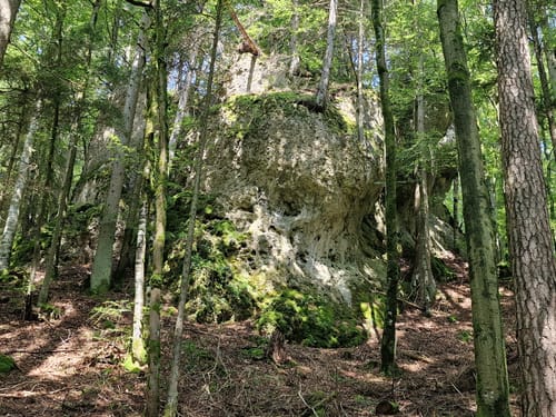 Therapeutischer Wanderweg