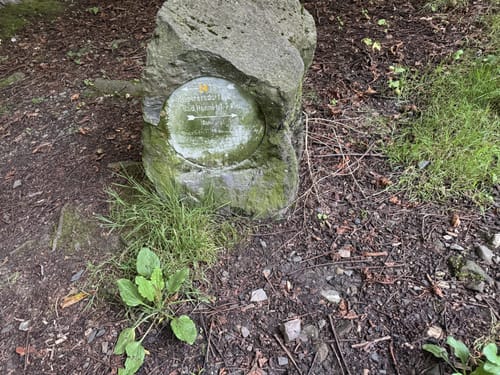 Rheinsteig - Löwenburg - Tretschbachtal