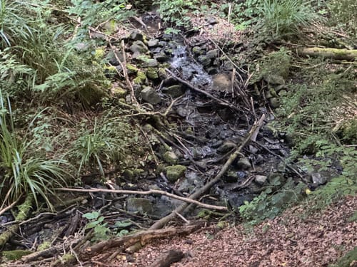 Rheinsteig - Löwenburg - Tretschbachtal