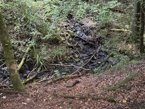 Rheinsteig - Löwenburg - Tretschbachtal