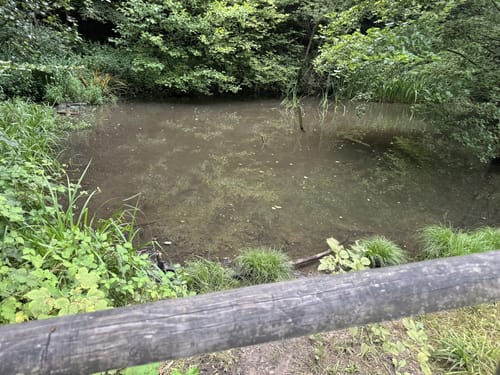 Rheinsteig - Löwenburg - Tretschbachtal