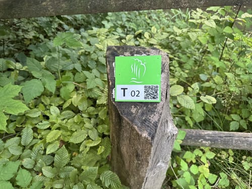 Rheinsteig - Löwenburg - Tretschbachtal