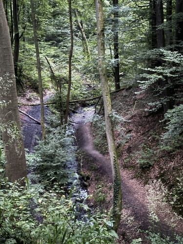 Rheinsteig - Löwenburg - Tretschbachtal