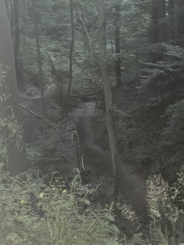 Rheinsteig - Löwenburg - Tretschbachtal