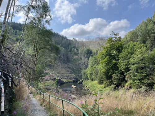 Mausefalle – Kästeklippen von Oker