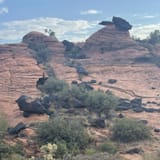Butterfly, Lava Flow Overlook, West Canyon, and Petrified Dunes Loop ...
