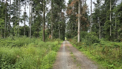 Zwischen Salzstetten, Tumlingen und Altheim