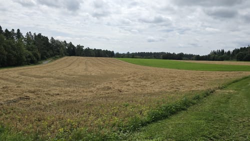 Zwischen Salzstetten, Tumlingen und Altheim