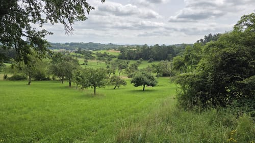 Zwischen Salzstetten, Tumlingen und Altheim