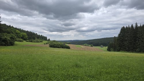 Zwischen Salzstetten, Tumlingen und Altheim