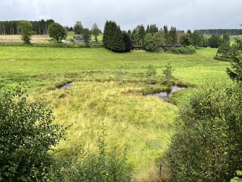 Mäanderweg Endtebrück