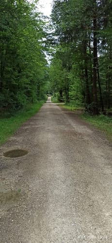 Rund um den Monheimer Weiher