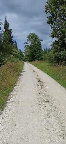 Rund um den Monheimer Weiher