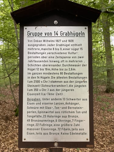 Im Wald bei Sinsheim