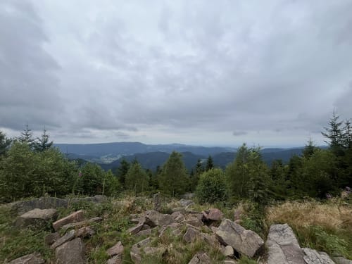 Buhlbachsee und Lotharpfad Rundwanderung