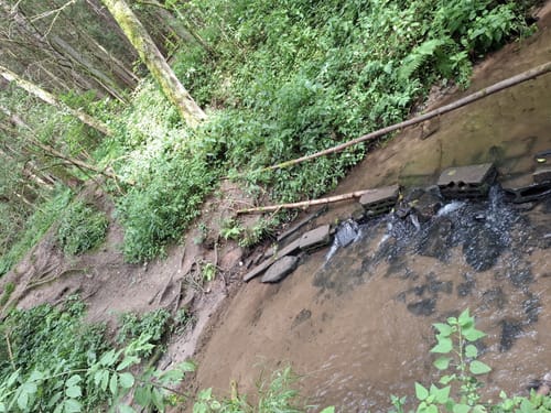 Nesselmühle - Naturlehrpfad - Nessenbach