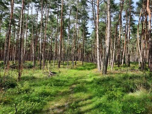 Lehrdetal ab Hohenaverbergen