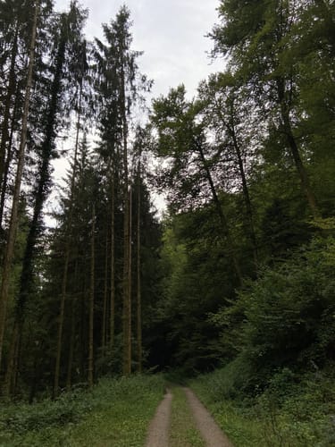 Zur Höllschlucht ab Hofen