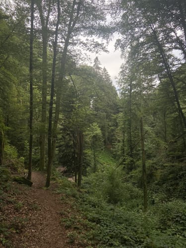 Zur Höllschlucht ab Hofen
