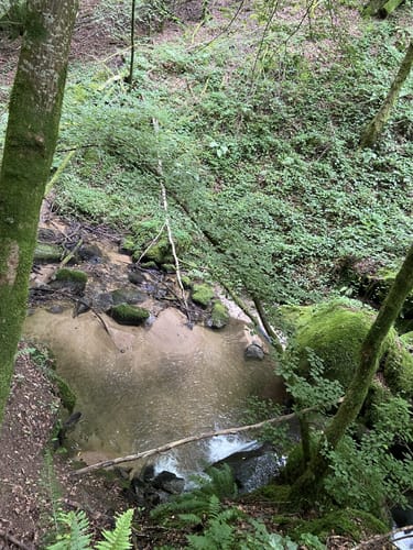 Zur Höllschlucht ab Hofen
