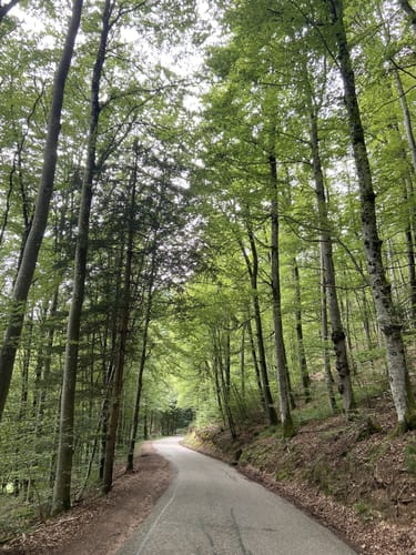 Zur Höllschlucht ab Hofen
