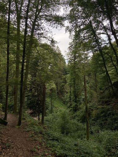 Zur Höllschlucht ab Hofen