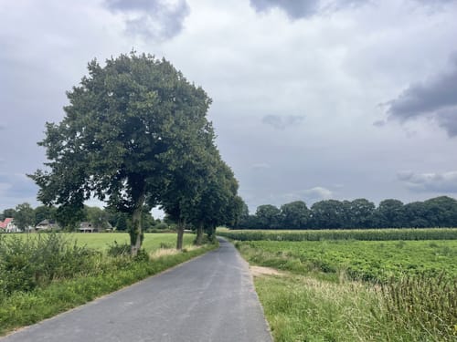 Kleve - Runde im Reichswald