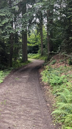 Bierweg (Streifzug Nr. 17)