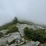 Sunset Ridge and Long Trail Loop, Vermont - 1,444 Reviews, Map | AllTrails