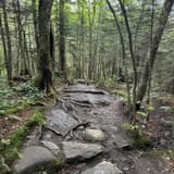 Sunset Ridge and Long Trail Loop, Vermont - 1,444 Reviews, Map | AllTrails