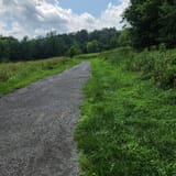 Scotts Gap Loop Trail, Kentucky - 1,037 Reviews, Map | AllTrails