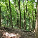 Scotts Gap Loop Trail, Kentucky - 1,037 Reviews, Map | AllTrails
