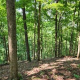 Scotts Gap Loop Trail, Kentucky - 990 Reviews, Map | AllTrails
