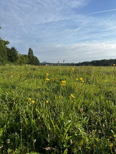 Silbersee ab Heuchelheim