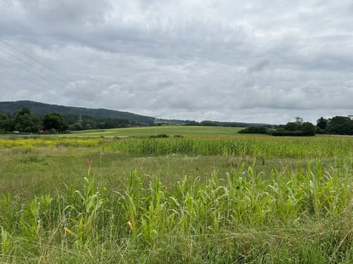 Altdorf bei Nürnberg: Rundwanderweg 1