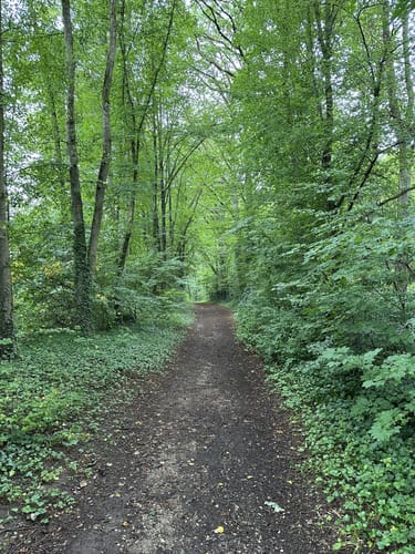 Altdorf bei Nürnberg: Rundwanderweg 1