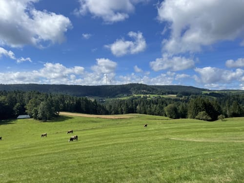 Käppelehof - Bruckhof