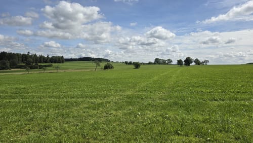 Rundweg Tanne (grün)