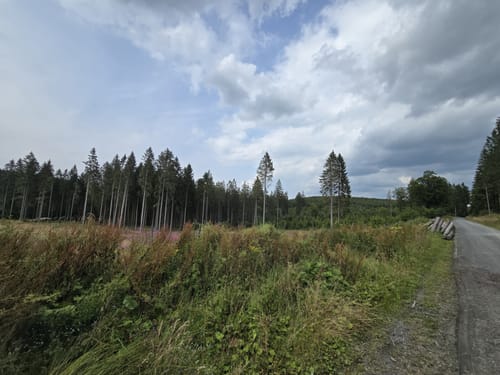 Bike Arena Sauerland - Skisportstätten-Tour Nr. 27