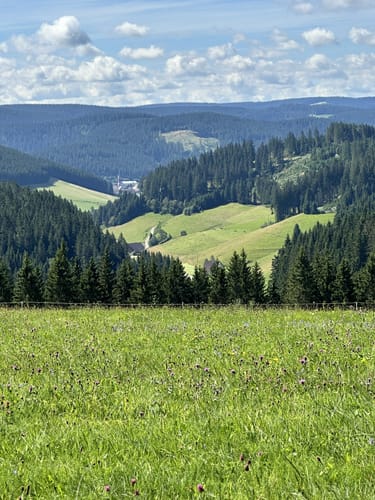 Heilklima-Steig (Genießerpfad)