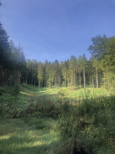Die Otterbacher Runde
